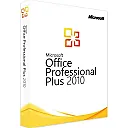 Microsoft Office 2010 Professional Plus (PC)