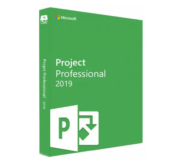 Microsoft Project 2019 Professional (PC)